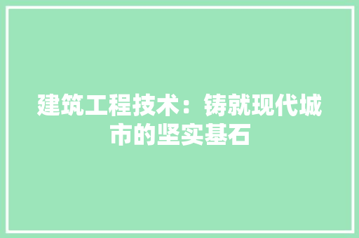 建筑工程技术：铸就现代城市的坚实基石 中式风格装饰