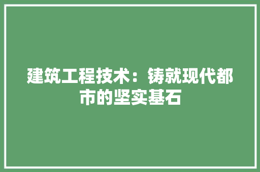 建筑工程技术：铸就现代都市的坚实基石 中式风格装饰