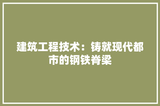 建筑工程技术：铸就现代都市的钢铁脊梁 中式风格装饰