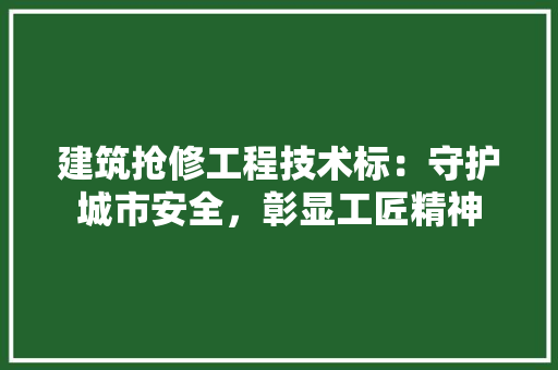 建筑抢修工程技术标：守护城市安全，彰显工匠精神
