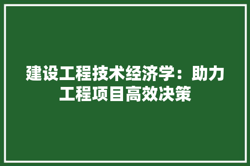 建设工程技术经济学：助力工程项目高效决策 中式风格装饰