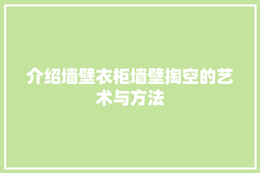 介绍墙壁衣柜墙壁掏空的艺术与方法