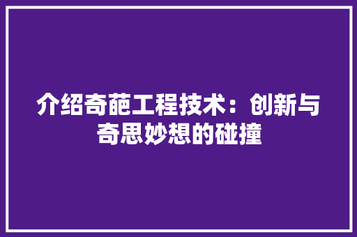介绍奇葩工程技术：创新与奇思妙想的碰撞