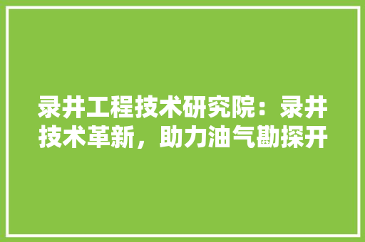 录井工程技术研究院：录井技术革新，助力油气勘探开发 中式风格装饰