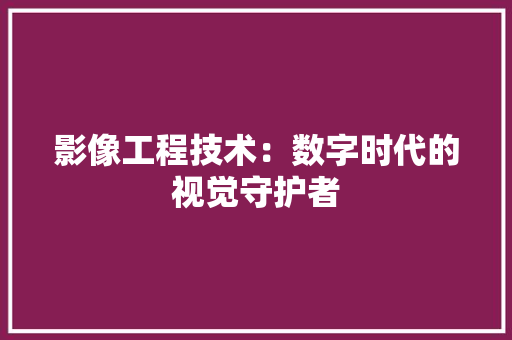 影像工程技术：数字时代的视觉守护者 中式风格装饰