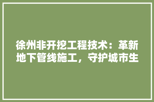 徐州非开挖工程技术：革新地下管线施工，守护城市生态和谐