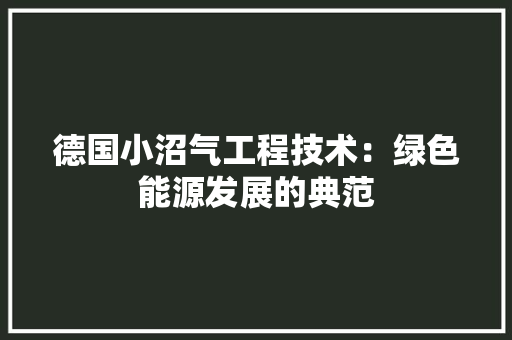 德国小沼气工程技术：绿色能源发展的典范 中式风格装饰