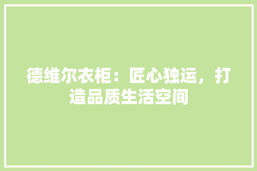 德维尔衣柜：匠心独运，打造品质生活空间 中式风格装饰