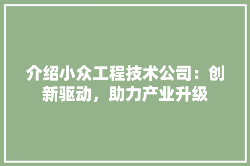 介绍小众工程技术公司：创新驱动，助力产业升级