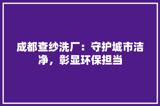 成都查纱洗厂：守护城市洁净，彰显环保担当 中式风格装饰