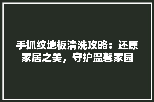 手抓纹地板清洗攻略：还原家居之美，守护温馨家园