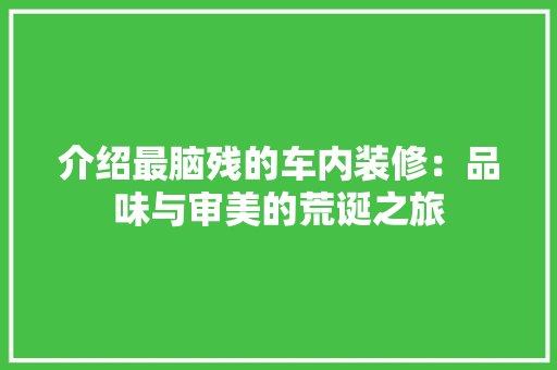 介绍最脑残的车内装修：品味与审美的荒诞之旅 家居装修
