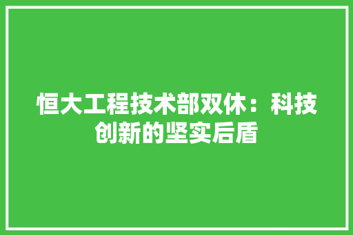 恒大工程技术部双休：科技创新的坚实后盾 中式风格装饰
