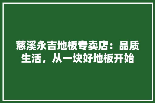 慈溪永吉地板专卖店：品质生活，从一块好地板开始 中式风格装饰