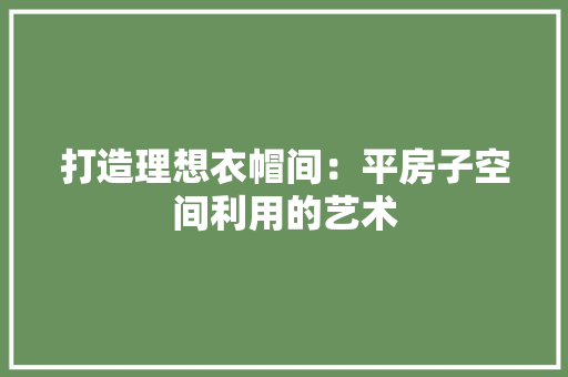 打造理想衣帽间：平房子空间利用的艺术 室内设计