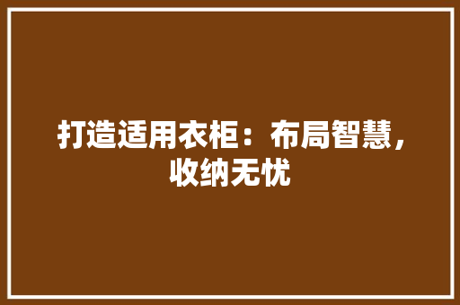 打造适用衣柜：布局智慧，收纳无忧 室内设计