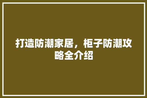 打造防潮家居，柜子防潮攻略全介绍 室内设计