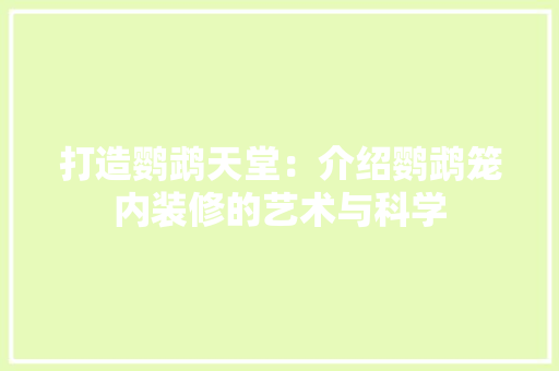打造鹦鹉天堂：介绍鹦鹉笼内装修的艺术与科学