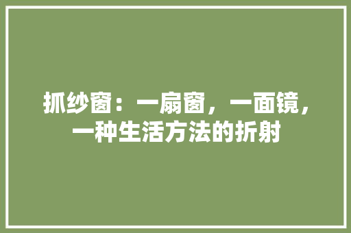 抓纱窗：一扇窗，一面镜，一种生活方法的折射
