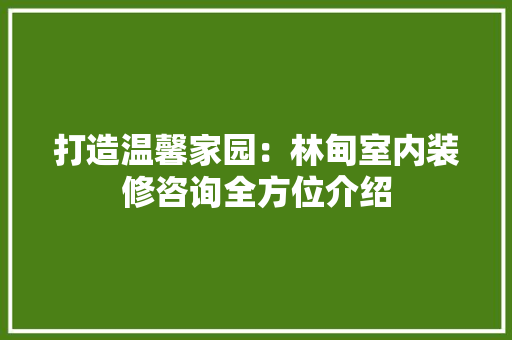 打造温馨家园：林甸室内装修咨询全方位介绍 室内设计