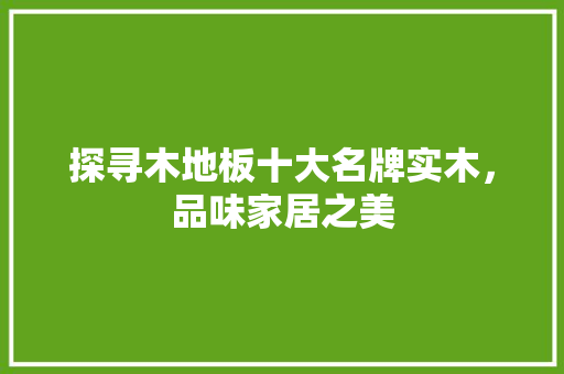 探寻木地板十大名牌实木，品味家居之美 室内设计