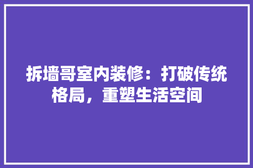 拆墙哥室内装修：打破传统格局，重塑生活空间 室内设计