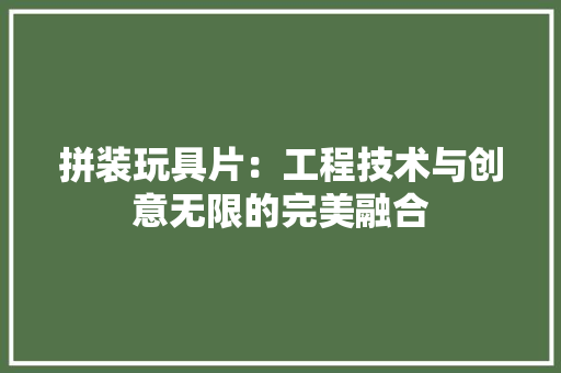 拼装玩具片：工程技术与创意无限的完美融合