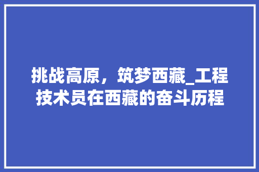 挑战高原，筑梦西藏_工程技术员在西藏的奋斗历程 室内设计