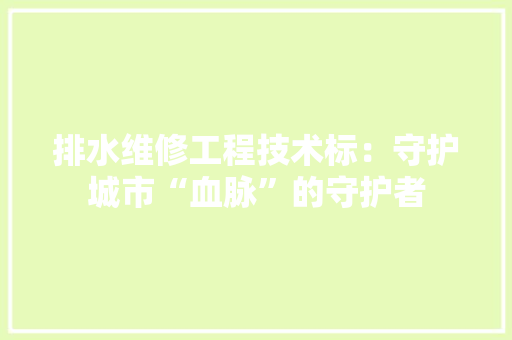 排水维修工程技术标：守护城市“血脉”的守护者 室内设计