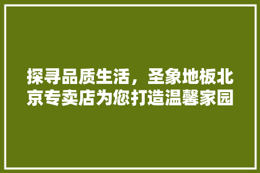 探寻品质生活，圣象地板北京专卖店为您打造温馨家园 室内设计