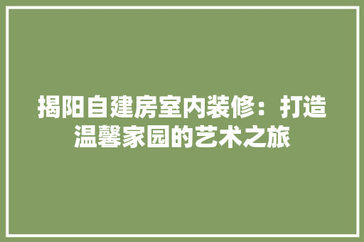 揭阳自建房室内装修：打造温馨家园的艺术之旅 室内设计
