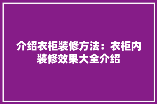 介绍衣柜装修方法：衣柜内装修效果大全介绍 家居装修