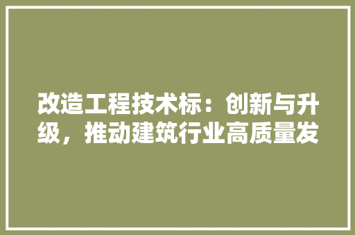 改造工程技术标：创新与升级，推动建筑行业高质量发展 室内设计