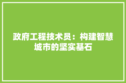 政府工程技术员：构建智慧城市的坚实基石 室内设计