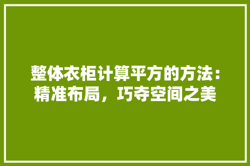 整体衣柜计算平方的方法：精准布局，巧夺空间之美 室内设计