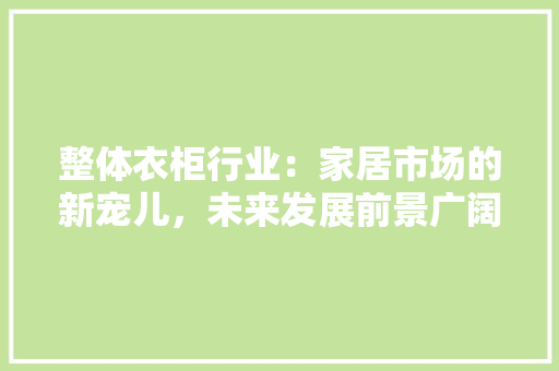 整体衣柜行业：家居市场的新宠儿，未来发展前景广阔 室内设计
