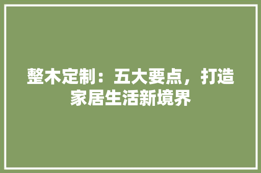 整木定制：五大要点，打造家居生活新境界 室内设计