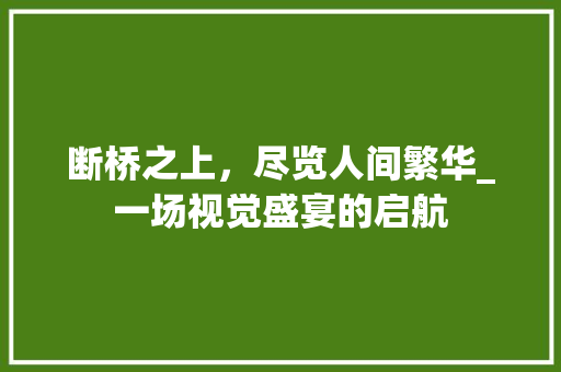 断桥之上，尽览人间繁华_一场视觉盛宴的启航