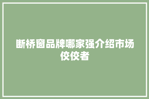 断桥窗品牌哪家强介绍市场佼佼者