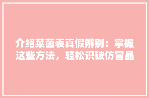 介绍莱茵表真假辨别：掌握这些方法，轻松识破仿冒品