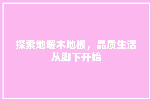 探索地暖木地板，品质生活从脚下开始 室内设计