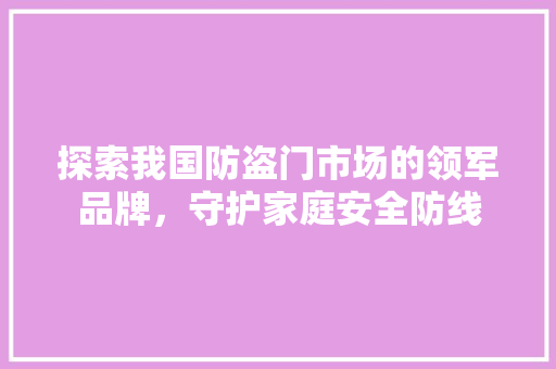 探索我国防盗门市场的领军品牌，守护家庭安全防线