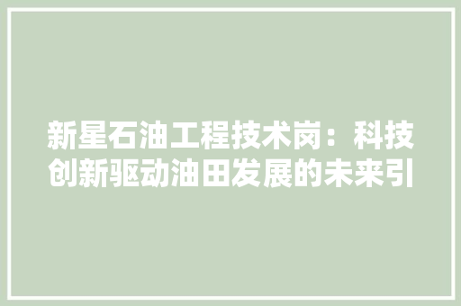 新星石油工程技术岗：科技创新驱动油田发展的未来引擎 室内设计