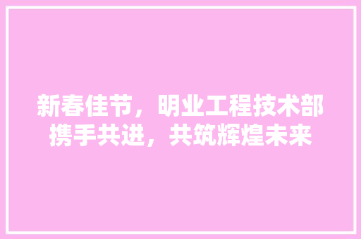 新春佳节，明业工程技术部携手共进，共筑辉煌未来 室内设计