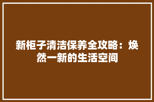 新柜子清洁保养全攻略：焕然一新的生活空间 室内设计