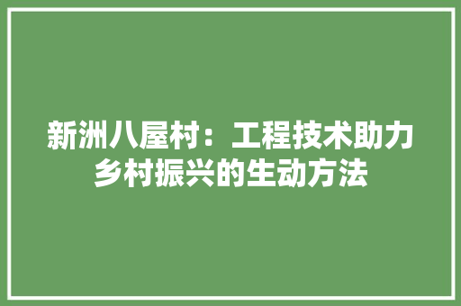 新洲八屋村：工程技术助力乡村振兴的生动方法 室内设计