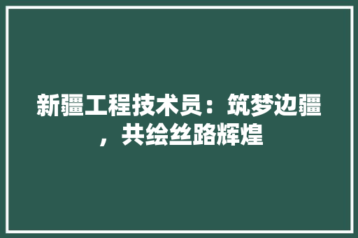 新疆工程技术员：筑梦边疆，共绘丝路辉煌 室内设计