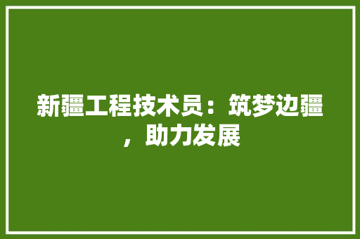 新疆工程技术员：筑梦边疆，助力发展 室内设计