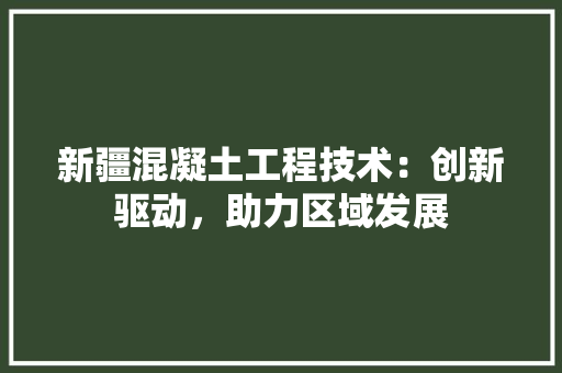 新疆混凝土工程技术：创新驱动，助力区域发展 室内设计