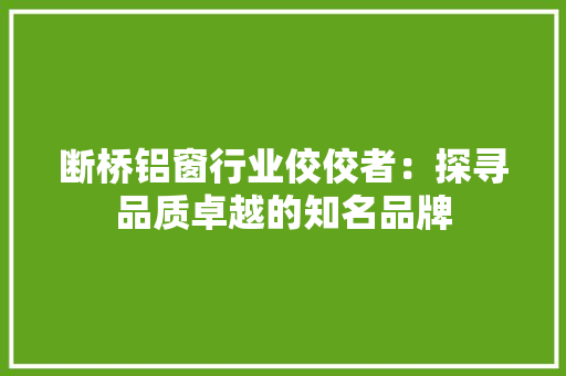 断桥铝窗行业佼佼者：探寻品质卓越的知名品牌 室内设计
